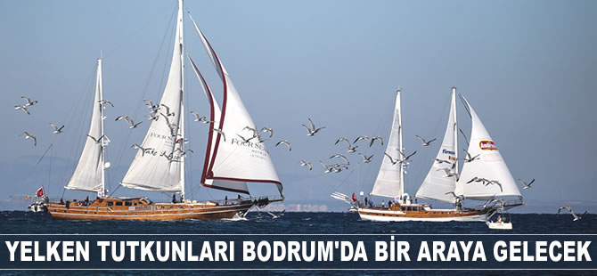 Yelken tutkunları Bodrum'da bir araya gelecek