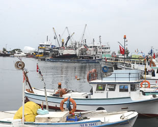 Balıkçılar, sezondan beklediklerini bulamıyor