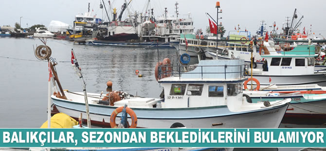 Balıkçılar, sezondan beklediklerini bulamıyor