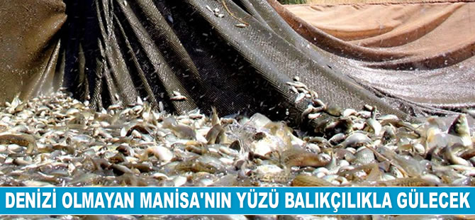Denizi olmayan Manisa'nın yüzü balıkçılıkla gülecek