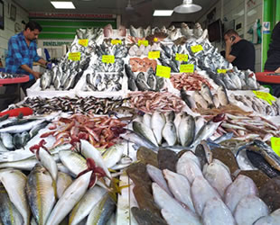 Balıkçı tezgahları dolunca fiyatlar düşmeye başladı