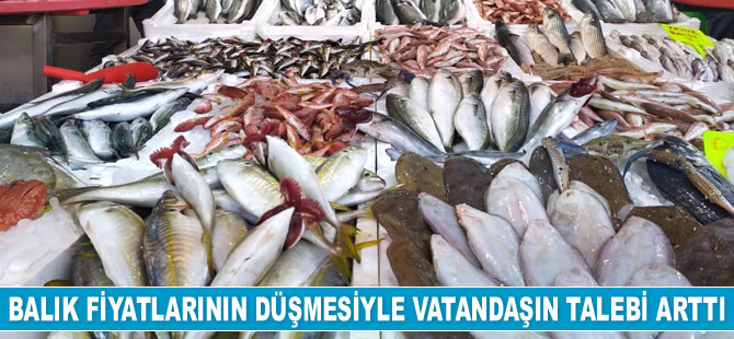 Balıkçı tezgahları dolunca fiyatlar düşmeye başladı