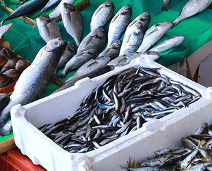Sıcak havalar balık satışlarını olumsuz etkiledi