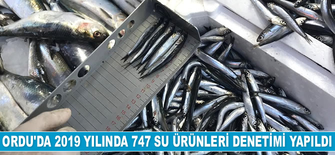 Ordu'da 2019 yılında 747 su ürünleri denetimi yapıldı