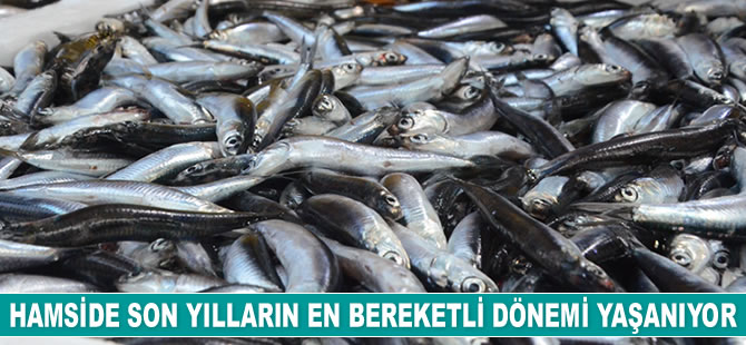 Hamside son yılların en bereketli dönemi yaşanıyor