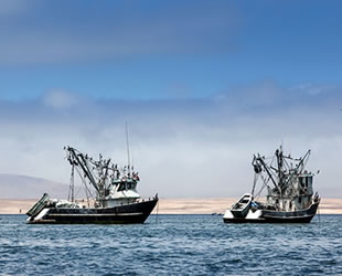 48 devlet, balıkçı gemisi güvenliği anlaşması imzaladı