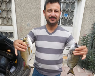 Çanakkale'deki amatör balıkçılar, lüfer bereketi yaşıyor