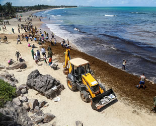 Brezilya plajlarını kirleten petrol, Venezuela’dan gelmiş