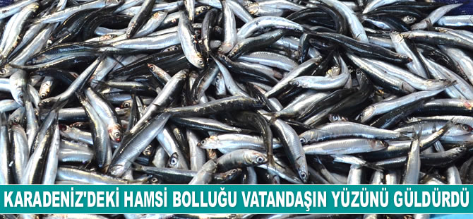 Karadeniz’deki hamsi bolluğu vatandaşın yüzünü güldürdü