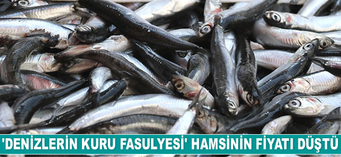 Hamsi bolluğu balıkçı tezgahlarını şenlendirdi