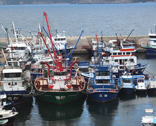 Su Ürünleri Kanunu'nda değişiklik teklifi üzerindeki görüşmeler tamamlandı
