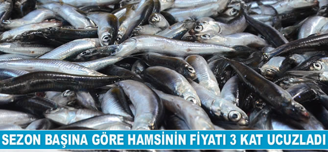 Sezon başına göre hamsinin fiyatı 3 kat ucuzladı