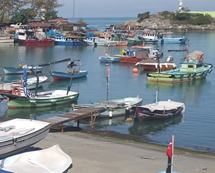 Su Ürünleri Kanunu'nda değişiklik teklifi Genel Kurul’da kabul edildi