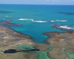 Brezilya sahillerini ‘Bouboulina’ isimli Yunan petrol tankeri kirletmiş