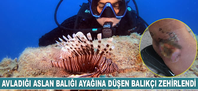 Antalya'da avladığı aslan balığı ayağına düşen balıkçı zehirlendi