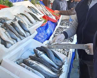 Van Gölü’nde su ürünleri denetimleri yapıldı