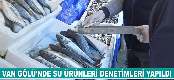 Van Gölü’nde su ürünleri denetimleri yapıldı