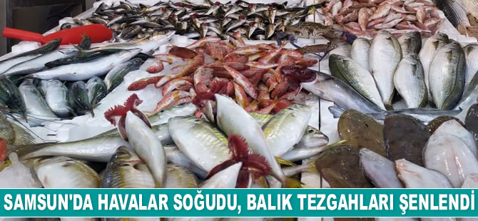 Samsun'da havalar soğudu, balık tezgahları şenlendi