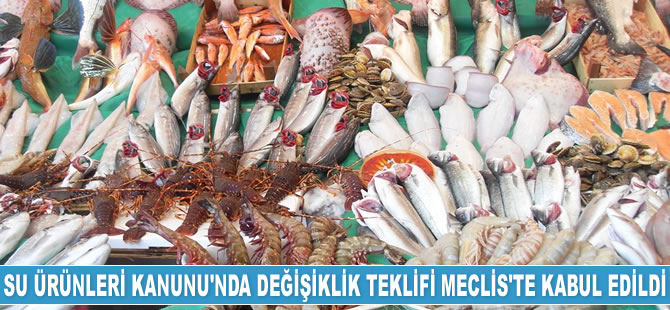 Su Ürünleri Kanunu'nda değişiklik teklifi Genel Kurul'da kabul edildi