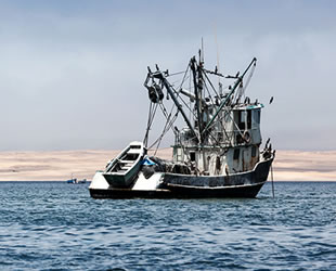 Yeni Su Ürünleri Kanunu ile kaçak avcılık bitecek