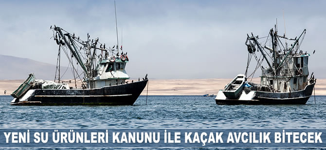 Yeni Su Ürünleri Kanunu ile kaçak avcılık bitecek