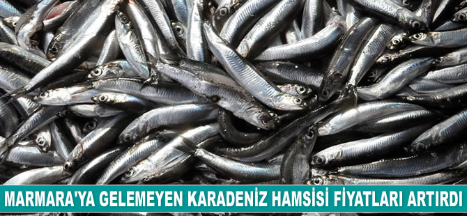 Marmara'ya gelemeyen Karadeniz hamsisi balık fiyatlarını tırmandırdı