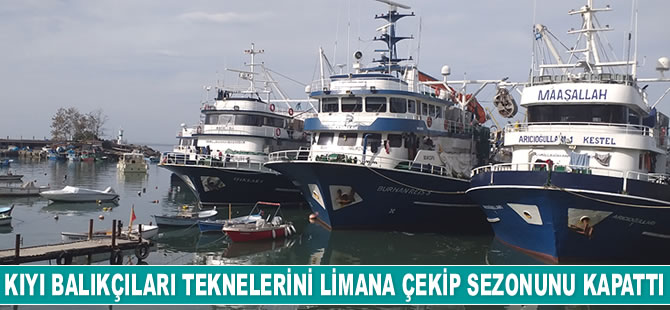 Karadeniz'de hamsi bolluğu yaşanıyor