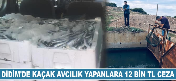 Didim’de kaçak avcılığa geçit verilmiyor