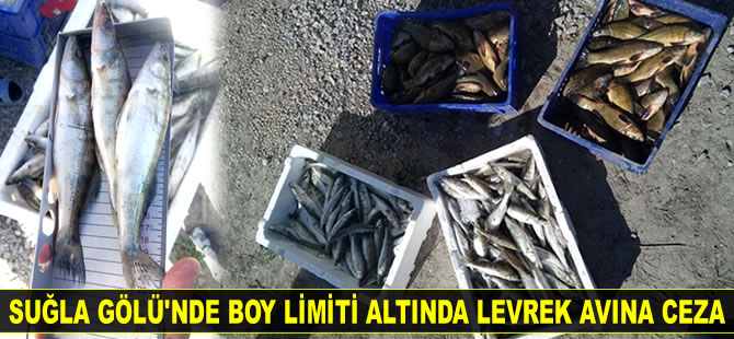 Suğla Gölü’nde boy limiti altında levrek avına ceza kesildi