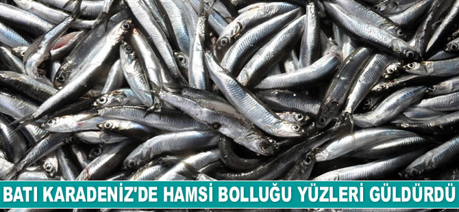 Batı Karadeniz'de hamsi bolluğu yüzleri güldürdü