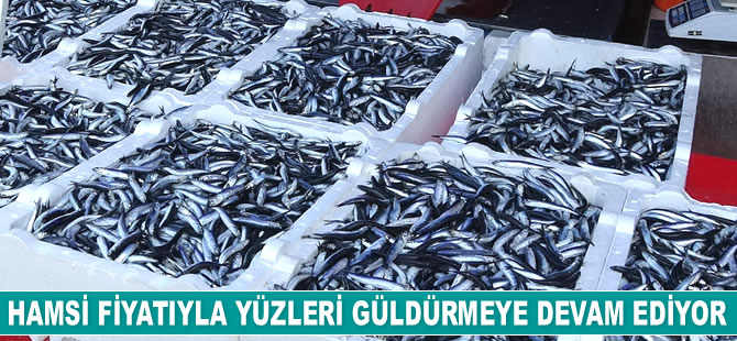 Hamsi fiyatıyla yüzleri güldürmeye devam ediyor
