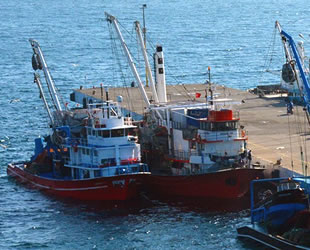 Sinop'lu balıkçılar iskelede avlanma saatini bekliyor