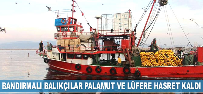 Bandırmalı balıkçılar palamut ve lüfere hasret kaldı