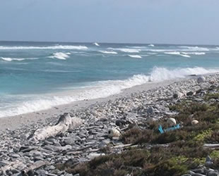 Marshall Adaları'nda nükleer atıkların saklandığı kubbe çatladı