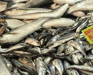 Fethiye’de balık fiyatları el yakıyor