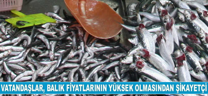 Vatandaşlar, balık fiyatlarının yüksek olmasından şikayet ediyor