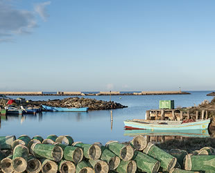80 yıllık ömür biçilen Sardunya Adası küresel ısınmaya direniyor