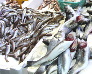 Balık fiyatları havaya endeksli değişkenlik gösteriyor