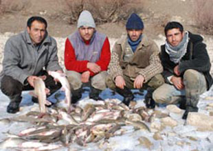 Patlayıcı ile avlanan balıklar sakıncalı