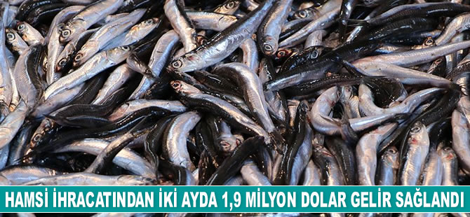 Hamsi ihracatı sezona iyi başladı