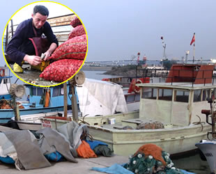 Deniz salyangozu balıkçıların gelir kaynağı oldu