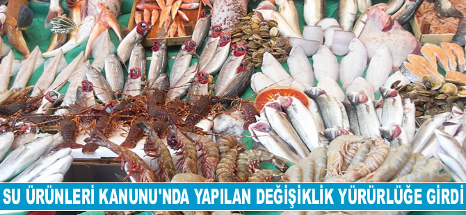 Su Ürünleri Kanunu'nda yapılan değişiklik yürürlüğe girdi