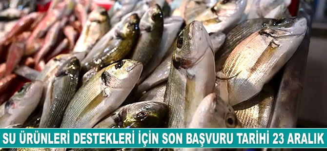 Su ürünleri destekleri için 23 Aralık'a kadar başvurulabilecek