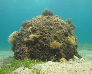 Çanakkale'de 1. Dünya Savaşı'ndan kalma mühimmat imha edildi