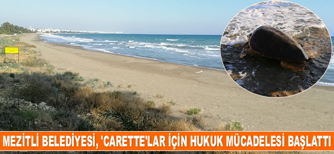 Mezitli Belediyesi, kaplumbağalar için hukuk mücadelesi başlattı