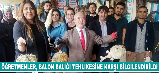 Öğretmenler, Balon balığı tehlikesine karşı bilgilendirildi