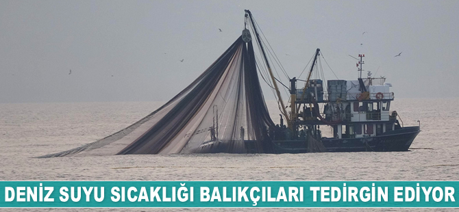 Balıkçılar bu sezon hedefledikleri avcılığın yarısına bile ulaşamadı