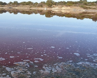 Kalp şeklindeki pembe gölde araştırma çalışmaları başladı