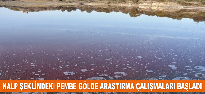 Kalp şeklindeki pembe gölde araştırma çalışmaları başladı