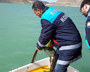 Zernek Barajı’nda stok tespit çalışması yapıldı